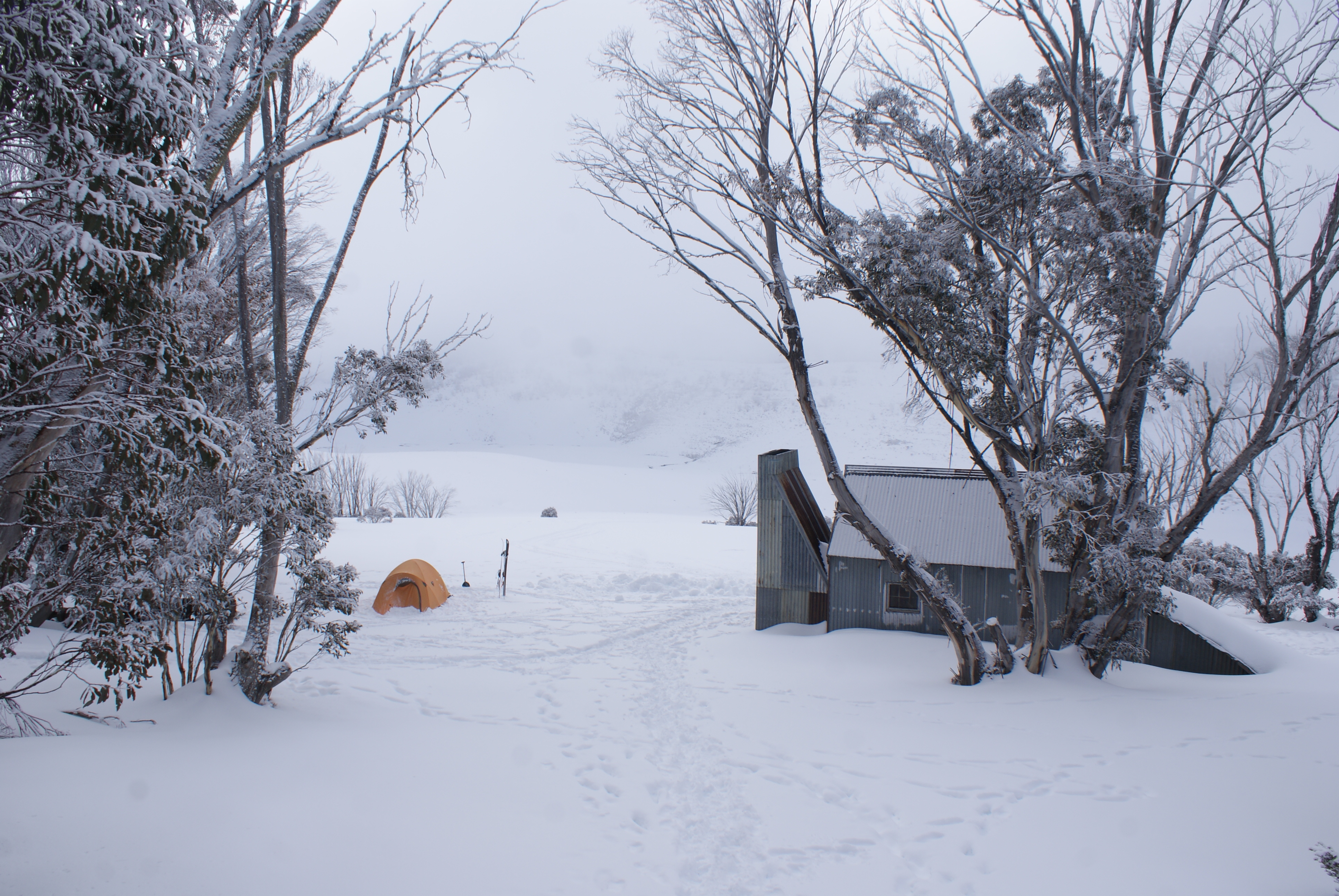 Fresh snow starting to build up at Grey Mare Hut. Beautiful