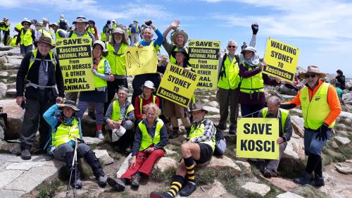 NSC Group at Save Kosci protest